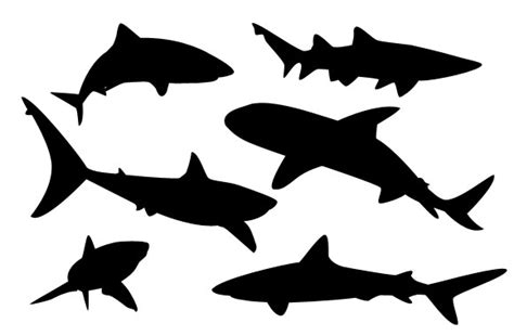 Free Bull Shark Silhouette, Download Free Bull Shark Silhouette png ...