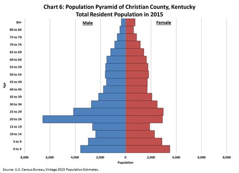 America's Age Profile Told through Population Pyramids