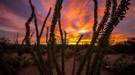 National Park Gets Stargazing Certification - Videos from The Weather ...