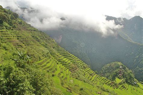 Batad Rice Terraces stock photo. Image of ancient, nature - 136181676