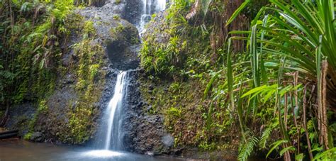 Best Hiking Spots in Fiji Blog - My Fiji