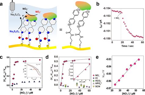 a Chemical structure of the BP-SAM on the extended gate electrode. b ...