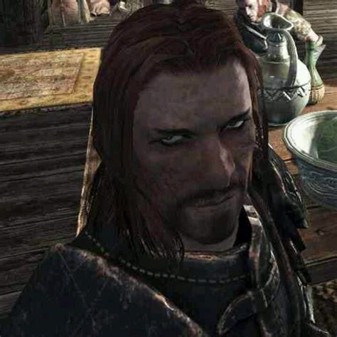 Brynjolf being photobombed by Dirk | Brynjolf skyrim, Skyrim memes, Skyrim