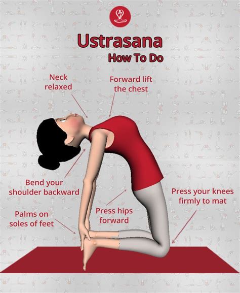 Ustrasana Steps