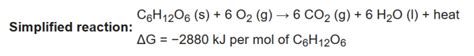 Balanced Chemical Equation For Cellular Respiration: Meaning And ...