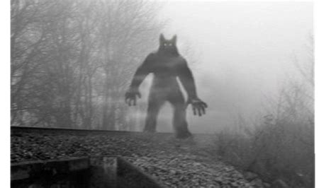 MICHIGAN MONSTERS: Dogman legend continues to howl across state | WWMT