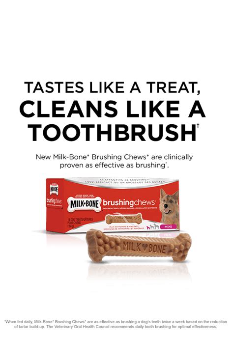 Milk-Bone* Canada | Brushing Chews* Dental Dog Treats