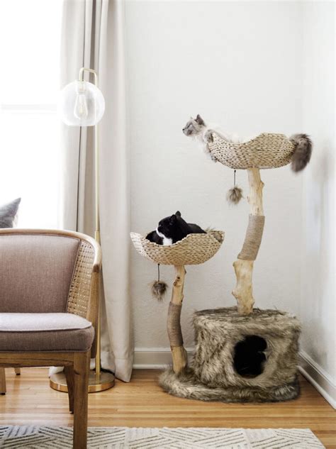 10 Sturdy Wooden Cat Trees for Large Cats - Whiskers Magoo