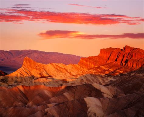 Fun Facts About California's Deserts