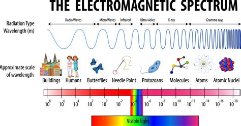 Science Electromagnetic Spectrum diagram 2687234 Vector Art at Vecteezy