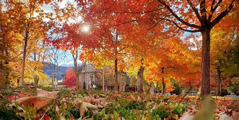 Best Places to See Fall Colors in Boulder, Colorado