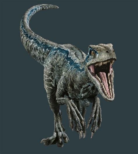 Jurassic World Fallen Kingdom full photo of the Velociraptor Jurassic ...