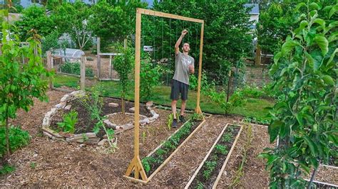 Cherry Tomato Plant Trellis