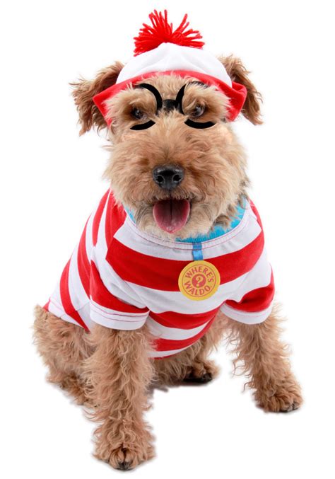 Waldo Woof Dog Costume