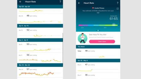 Fitbit heart rate explained: Accuracy, features and zones - Wareable