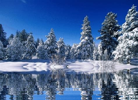 Free download com download free Snow Nature and landscapes Animated ...