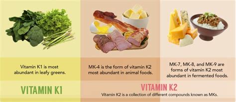 Vitamin K2: Everything You Need to Know - MD Keto Home & Garden Malaysia