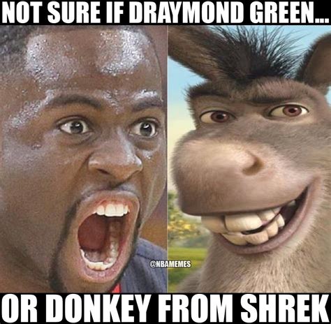 Donkey Shrek Funny Memes