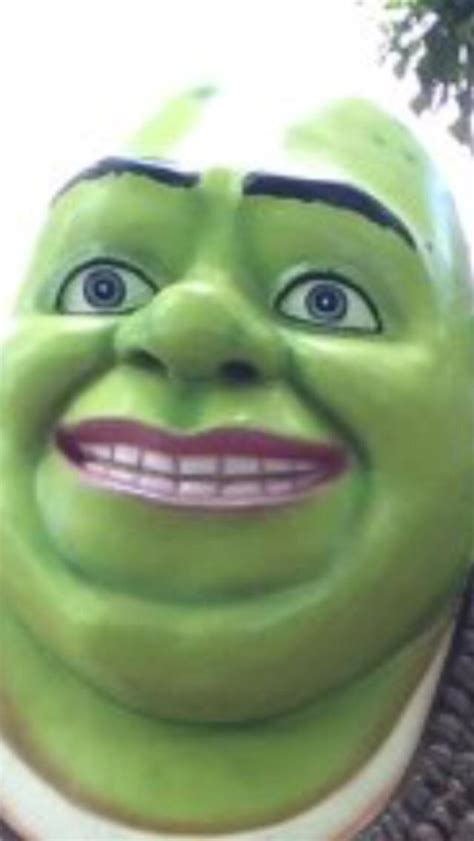 Just smile! | Shrek | Know Your Meme