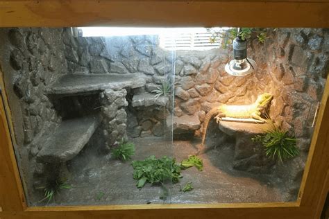 Diy Bearded Dragon Enclosure / Bearded Dragon . org • View topic - Viv ...