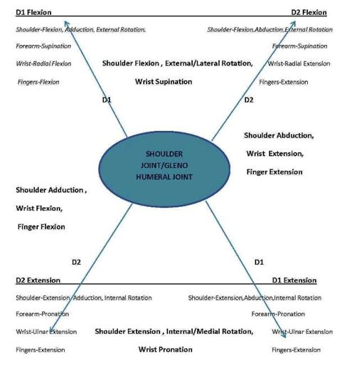 Proprioceptive neuromuscular facilitation - wikidoc