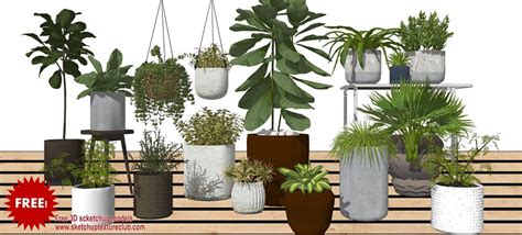 Free 3D Models - VEGETATION - 17 SketchUp 3D plants in pots collection ...