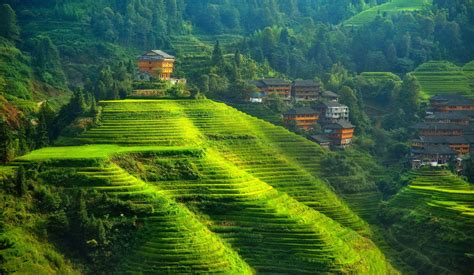 Banaue Rice Terraces. Ifugao, terraced field, landscape, hills, China ...