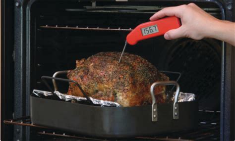 Where to put the Thermometer in a Turkey