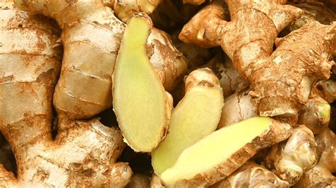 Culinary Ginger Plants: Everything To Know Before Planting