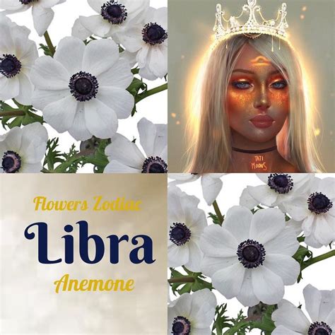 Flower Zodiac - Libra | Libra zodiac, Birth month flowers, Zodiac