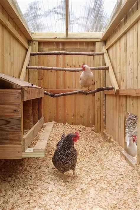 10 Free 8x8 Chicken Coop Plans You Can DIY This Weekend