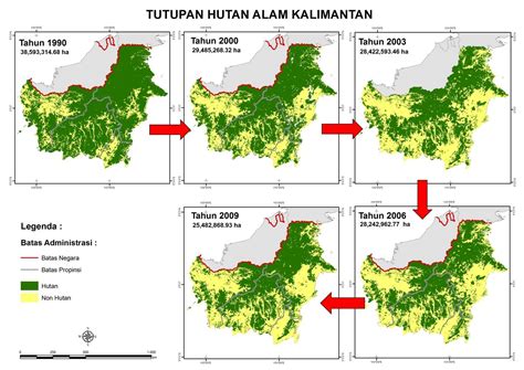 Hutan Kalimantan • JunglExplorer®