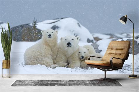 Polar Bear Family Wall Mural Wallpaper