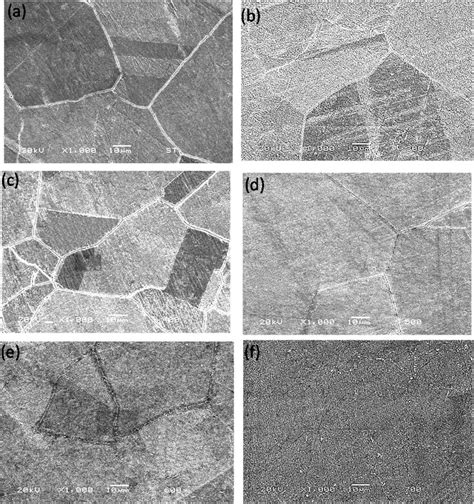 Brass metallurgical microstructure, 1000X magnification of samples (a ...