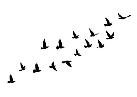 Update more than 81 birds in flight tattoo - esthdonghoadian