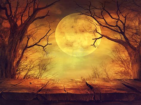 Spooky Forest With Full Moon And Wooden Table Stock Illustration ...