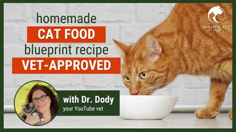 Homemade Cat Food Recipes Vet Approved | Basic Blueprint - Bombofoods