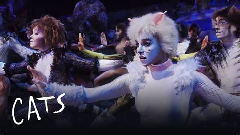 List Of Cats From Cats The Musical at Freda Ackerman blog