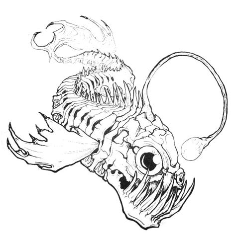 Angler Fish Bone Anatomi Coloring Pages : Best Place to Color | Fish ...