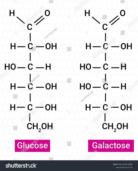 464 Glucose Galactose Molecule Images, Stock Photos & Vectors ...