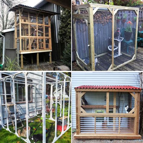 Diy Cat Enclosure Outdoor Pet Enclosure Rabbit Enclosure Outdoor Cat ...