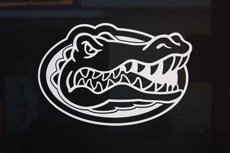 Gators Wallpaper