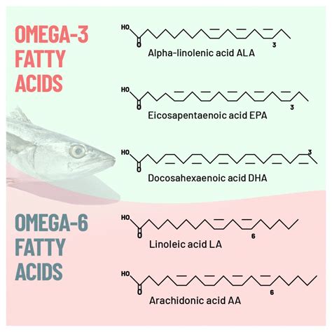 The Unbeatable Healing Powers of Omega 3 6 9