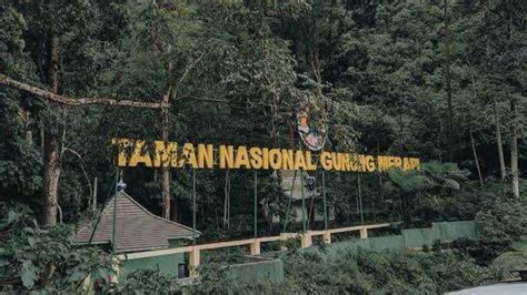 Taman Nasional Gunung Merapi (TNGM)