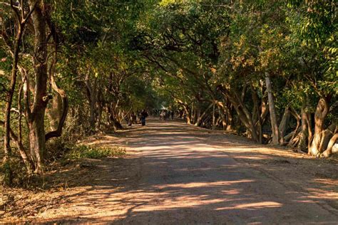 Bharatpur Bird Sanctuary - India