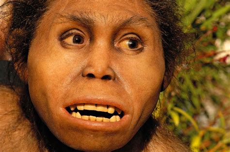 Homo erectus Existed 200,000 Years Earlier than Previously Thought ...