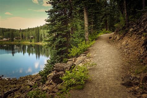 Exploring Grand Mesa National Forest | Visit Grand Junction, Colorado