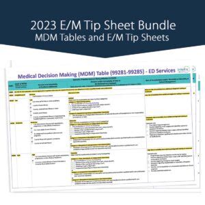 2024 E/M Tip Sheet Bundle – Single User