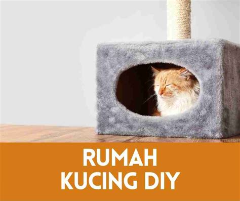 Rumah Kucing DIY Terbaik (2024)