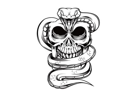 Snake Skull Drawing